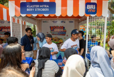 Mengecap Manisnya Bisnis Stroberi dengan Pemberdayaan BRI