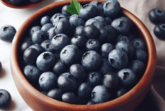 Ternyata, Ini Kandungan Blueberry Yang Bisa Membantu Mencegah Penyakit Kronis