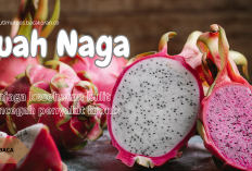 6 Nutrisi dan Manfaat Alami Mengkonsumsi Buah Naga