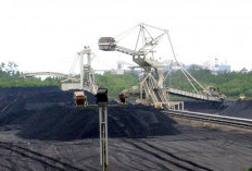 Realisasi PNBP Sektor ESDM Tembus Rp228 Triliun