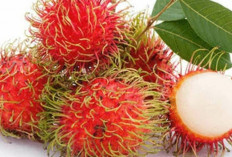 Benarkah Buah Rambutan Bisa Mengatasi Anemia ? Simak Faktanya