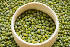 Kenali Manfaat Kacang Hijau, Pilihan Alami untuk Mencegah Anemia