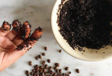Mengobati Jerawat dengan Ampas Kopi: Solusi Alami yang Efektif