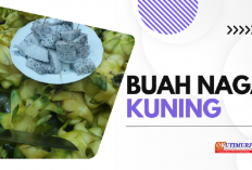 7 Manfaat Buah Naga Kuning untuk Kesehatan, Selai Menyegarkan dan bergizi