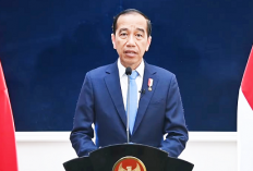 Jokowi: Belum Ada Investasi Asing yang Masuk IKN