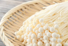 Mencegah Sembelit dengan Mengonsumsi Jamur Enoki: Solusi Alami untuk Kesehatan Pencernaan