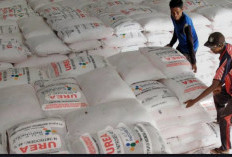 Petani di OKU Selatan Keluhkan Pupuk Subsidi Dijual di Atas HET