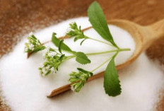 Pahami, Ini Alasan Stevia Lebih Menyehatkan Dibandingkan Gula