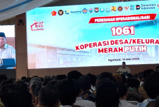 KDKMP Tercinta