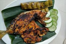 Resep Ikan Bakar Bumbu Padang yang Nikmat, Untuk Makan Keluarga
