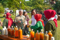Festival Jamu Nusantara, Irene Umar Dorong Jamu Jadi Brand Global Indonesia