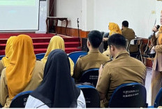 Tingkatkan Pelayanan Publik, OKU Selatan Matangkan Peta Proses Bisnis OPD