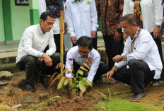 Ikuti Gerakan Tanam 1 Juta Pohon di Halaman Madrasah