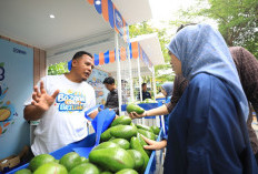 Berkat Program Pemberdayaan BRI Klasterku Hidupku, Petani Ini Berhasil Kembangkan Budidaya Alpukat