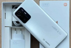 Simak Ulasan Ponsel OLD Berkualitas Xiaomi 11T: Spek Berkualitas, Harga Makin Turun