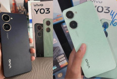 VIVO Y03 Diharapkan Jadi Pilihan Populer Smartphone di Indonesia, Simak Spesifikasi Lengkapnya