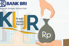 Adanya KUR BRI Debitur Semakin Dipermudah Kembangkan Usaha, Bunga Kecil Pencairan Cepat 