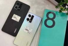 Harga Terbaru Oppo Reno8 4G Juli 2024, Mengalami Penurunan dari Sebelumnya, Peluang Upgrade HP Canggih