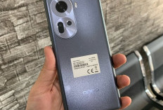 Spesifikasi Oppo Reno 11 5G dengan Kamera Ultra Clear 