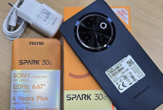 Bedanya Tecno Spark 30C NFC dan Tecno Spark 20C NFC: Harga Hampir Sama, Spesifikasi Beda Tipis, Cek Disini!