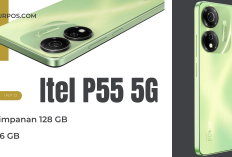 Itel P55 Harga Rp1 Jutaan, Mampu Bersaing dengan Hp Harga Diatasnya, Ini Spesifikasinya