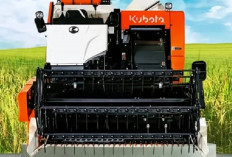 Combine Harvester Kubota DCX100, Teknologi Pertanian Terkini untuk Produktivitas Maksimal