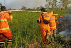 49 Hotspot Terdeteksi di Sumsel, Ancaman Kabut Asap Meningkat di Musim Kemarau