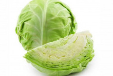 Manfaat Cabbage: Sayuran Super untuk Melawan Penuaan Dini