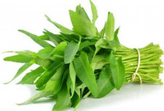 Memiliki Rasa Lezat, Kangkung Menjadi Solusi untuk Mencegah Penyakit Kuning