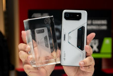 Spesifikasi ROG Phone 6 Pro, Smartphone yang Populer dikalangan Gamers