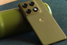 Motorola Signature Bikin Terpesona: Tahan Baterai hingga 18 Jam, Semua Kamera Tajam Resolusi 50 MP