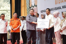 Airlangga Hartanto Serahkan KUR, CSR, Dana PSR, BPDPKS Senilai 18,97M Kepada Petani, UMKM dan Pelaku Usaha 