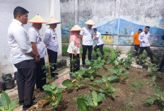 Lapas Martapura Panen Raya Serentak Bersama Dinas Pertanian, Sukseskan Program Ketahanan Pangan 