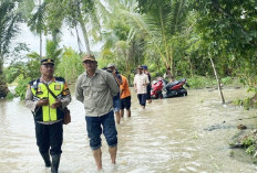 Sejumlah Wilayah di Ogan Ilir Mulai Diterjang Banjir