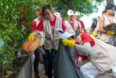 Aksi Bersih Merdeka, Dampak Nyata Kesadaran Publik