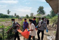 Warga Temukan Mayat Dipinggir Galangan Sawah Desa Tanjung Kemala Barat