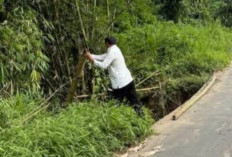 Camat Runjung Agung Imbau Pengendara Waspada Melintasi Jalan Simpang Saga