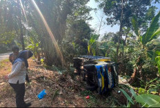 Diduga Sopir Mengantuk, Truk Angkut Pupuk Kecelakaan di Tanjakan Jagaraga