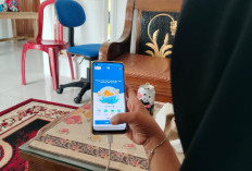 Aplikasi BRImo Permudah Nasabah, Bisa Lakukan Transaksi
