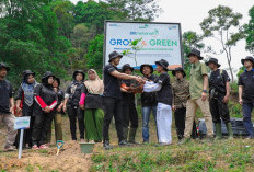 Pulihkan Hutan Bekas Tambang, Aksi Nyata Kelompok Tani Selamatkan Lingkungan Bersama BRI Menanam-Grow & Green