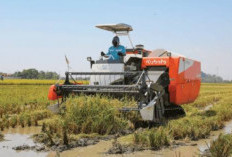 Keunggulan dan Spesifikasi Combine Harvester Kubota DCX100, Teknologi Pertanian Terkini yang Canggih