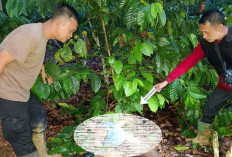 Dendam Lama, Pertemuan di Jalan Berujung Maut