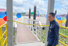 Pj Walikota Palembang Tinjau Dermaga dan Pelabuhan yang Dihantam Tongkang