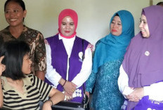 Sosialisasi 6 SPM Hari Posyandu, Ketua TP Posyandu OKU Timur Serahkan Bantuan Kursi Roda