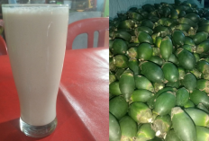 Cara Membuat dan Manfaat dari Minuman Tradisional Jus Pinang Muda