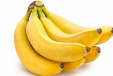 Solusi Alami : Mengatasi Anemia Dengan Mengomsumsi Buah Pisang, Efektif Dan Minim Efek Samping