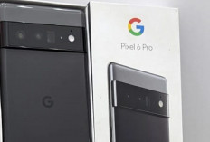 Google Pixel 6 Pro; Semartphone yang Mempunyai Spesifikasi Terbaik dengan Harga Rp 13 Jutaan