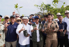 WENANAM: Aksi Bersama Hijaukan Indonesia