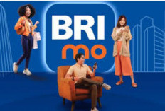 Kemudahan di Ujung Jari: Kenali Aplikasi BRImo dari BRI