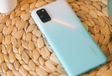 Jangan Salah Pilih, Perbandingan OPPO A92 Vs Vivo Y28, chipset dan Batrei Beda, Harga Selisih Rp300